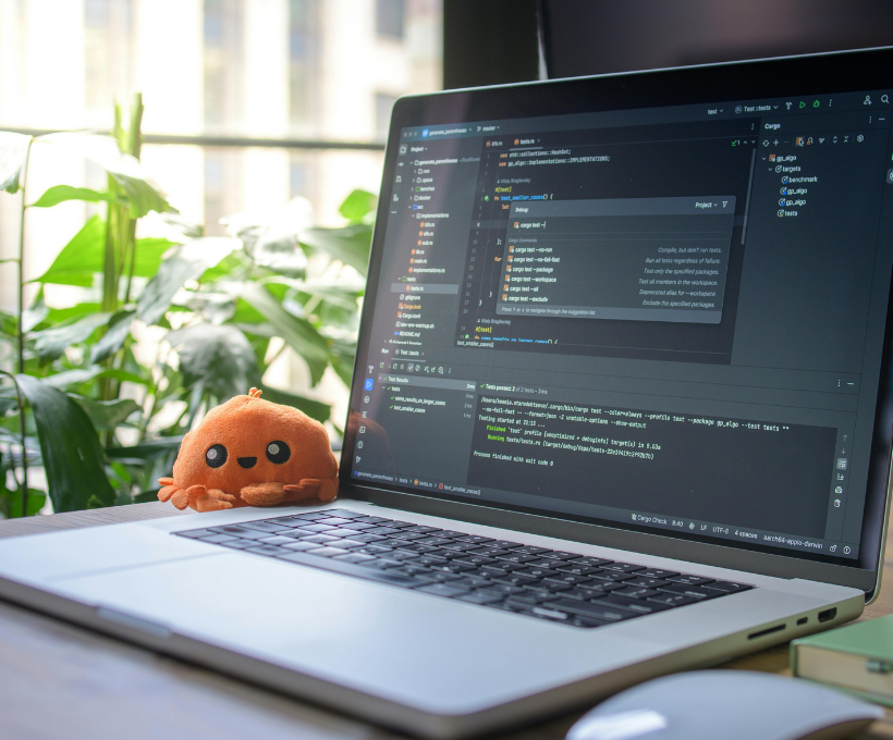 Boost Business with Custom Software & Web