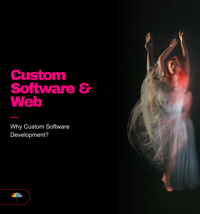 Boost Business with Custom Software & Web