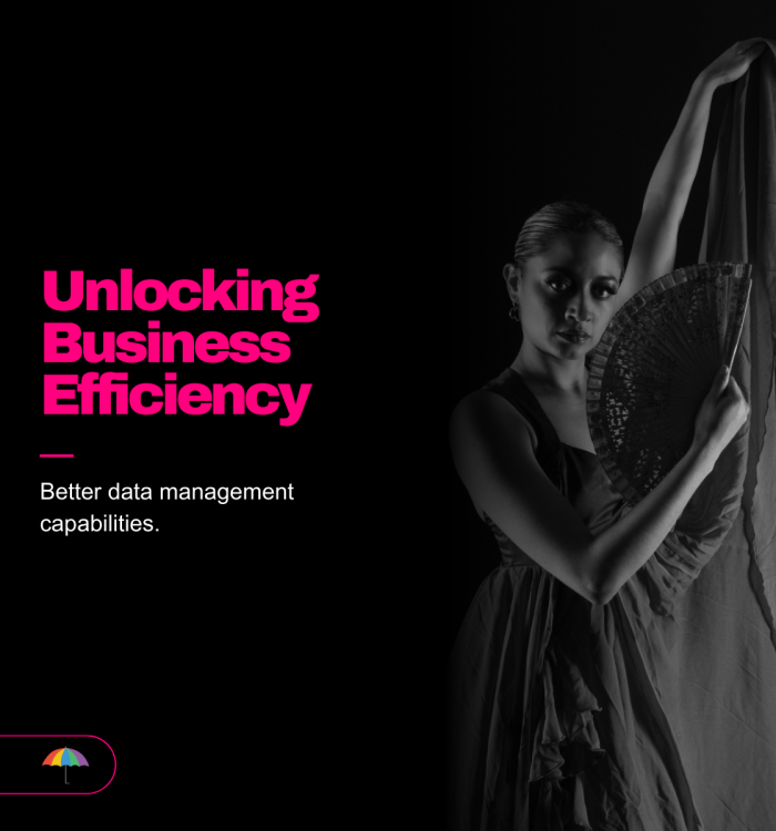 Unlocking Business Efficiency